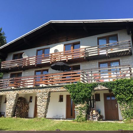 Apartman U Sjezdovky Zelezna Ruda Exterior photo
